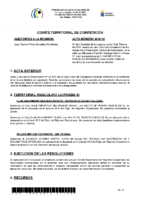 acta_no_13_comite_competicion